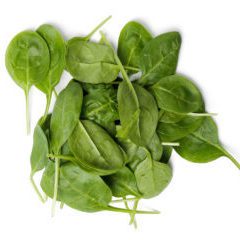Spinach on a white background