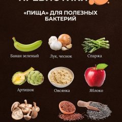 пребиотики