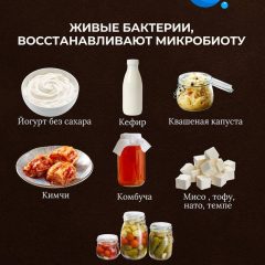 пробиотики